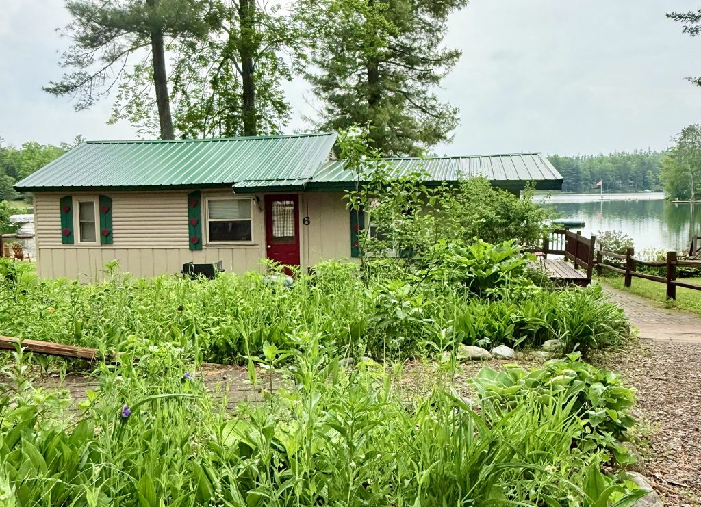 Cottage 6