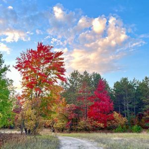 Hiking-Fall-Colors